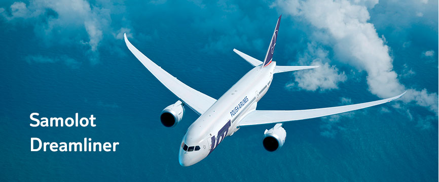 839_dreamliner_v2_01.jpg 839_dreamliner_v2_01.jpg